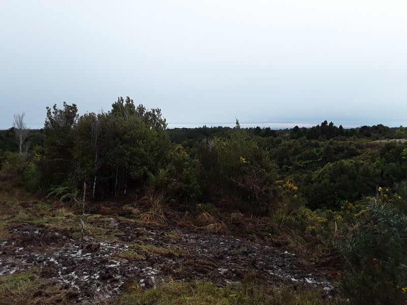 8 Little Paddock, BLUE SPUR, HOKITIKA - Carousel 4