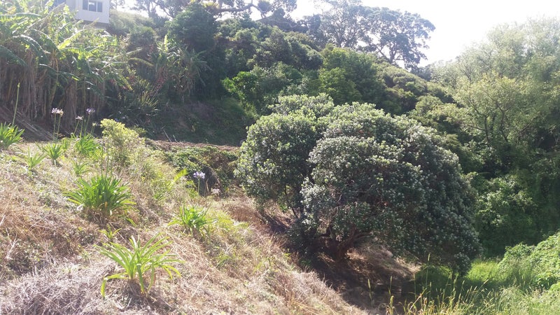3 Whangaumu Street, Tutukaka, Whangārei - Carousel 24