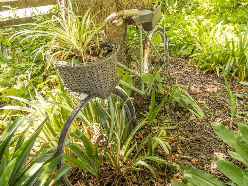 46 Plummer Road, Whakamārama - Carousel 19