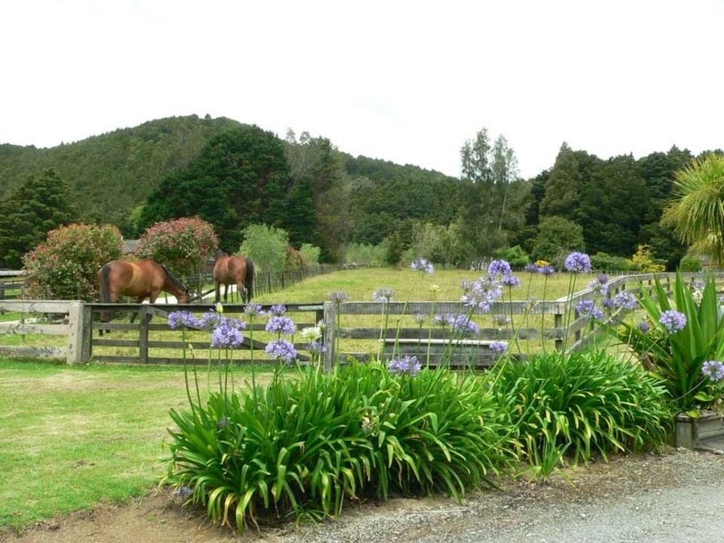 342 Crane Road, Kamo - Carousel 2