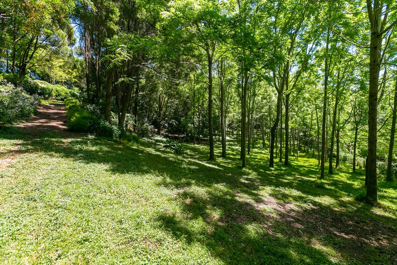 88C PAHOIA ROAD, Whakamarama, Tauranga - Carousel 2