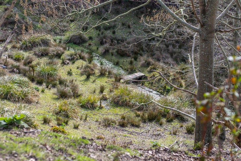 182 Rosebanks Drive, Tamahere - Carousel 20