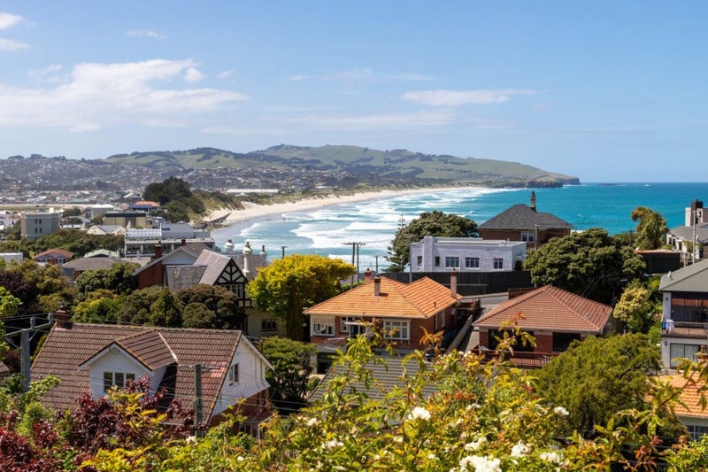 100 Norfolk Street, Saint Clair, Dunedin - Carousel 2