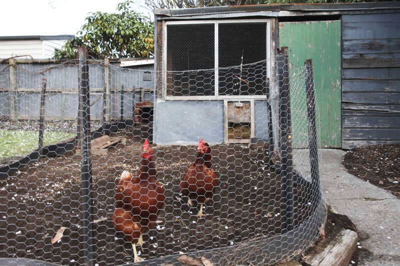 37 Chancellor Street, Richmond, Christchurch - Carousel 19