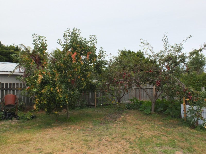 31 Park Street, Foxton, Foxton - Carousel 26