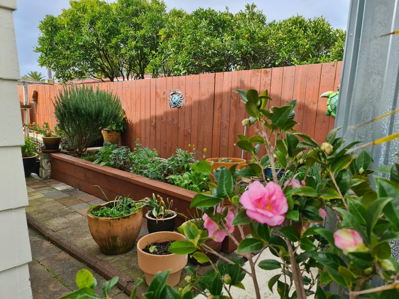 1 Coleridge Place, Tikipunga, Whangarei - Carousel 17