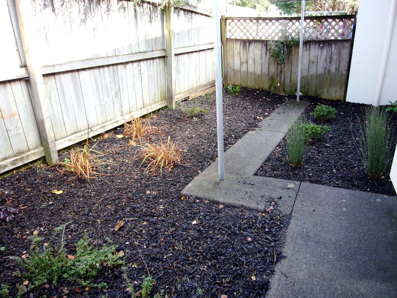 3 Seymour Road, Sunnyvale, Auckland - Carousel 11