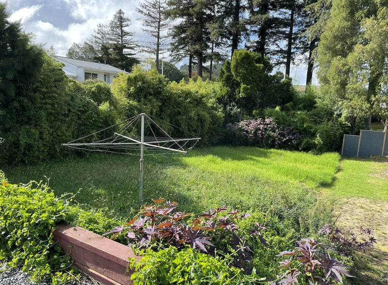 113 Maunu Road, Woodhill, Whangarei - Carousel 11