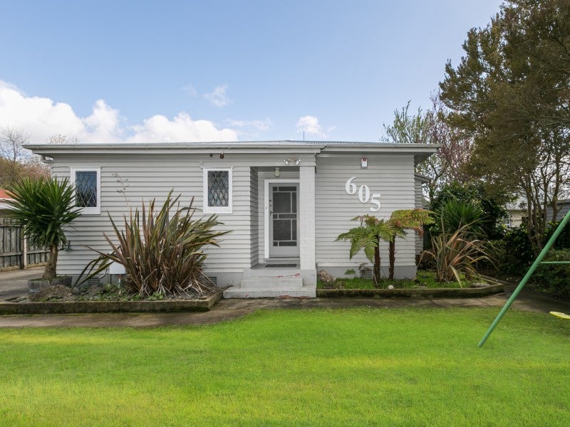 605 Hastings Street South, Akina, Hastings - Carousel 16