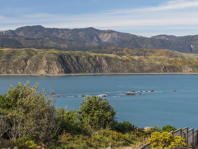 5B Bury Grove, Strathmore Park, Wellington - Carousel 13