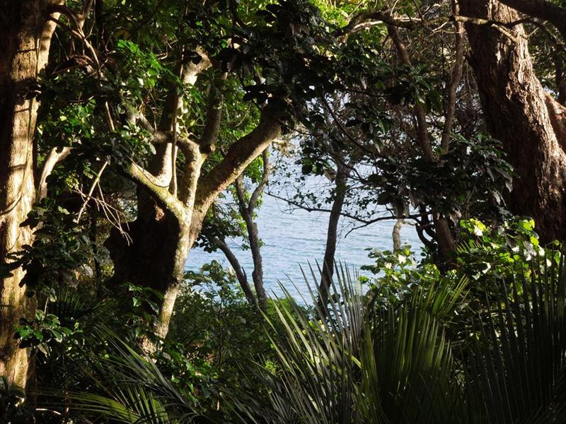 4 Ngahere Terrace, Whangamata - Carousel 22