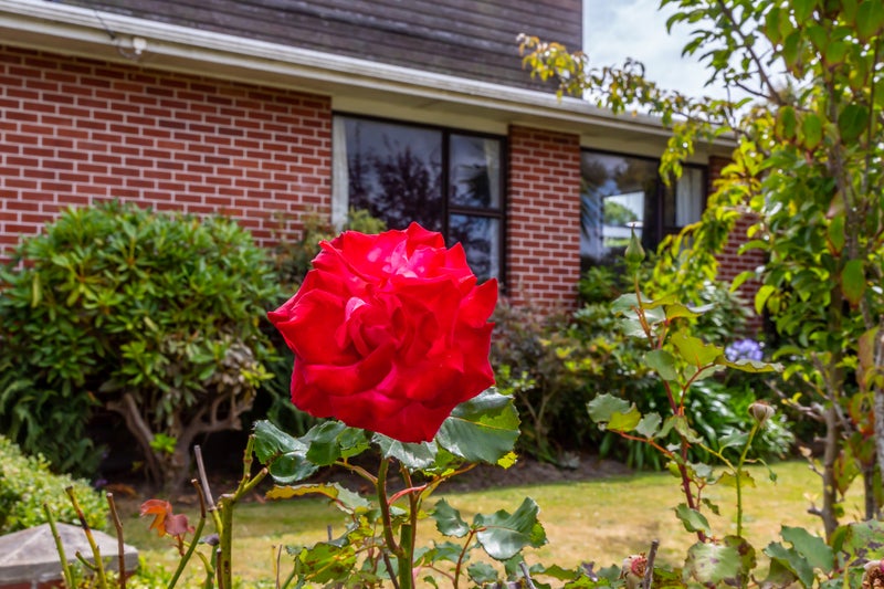 53 Wingate Street, Redwood, Christchurch - Carousel 20