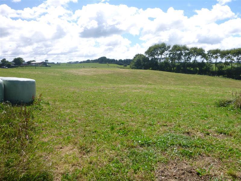 543 Finnerty Road, Cardiff, Stratford - Carousel 20