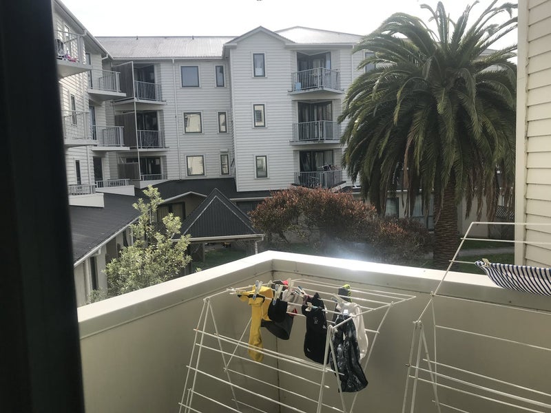 B4/13 Palm Grove, Berhampore, Wellington - Carousel 2