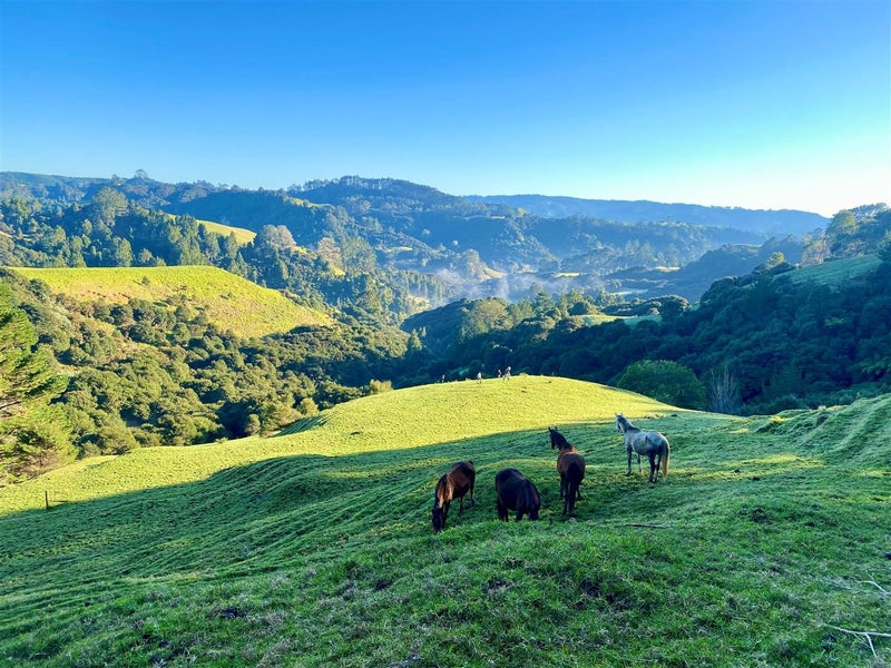 482 Krippner Road, Puhoi, Warkworth - Carousel 1