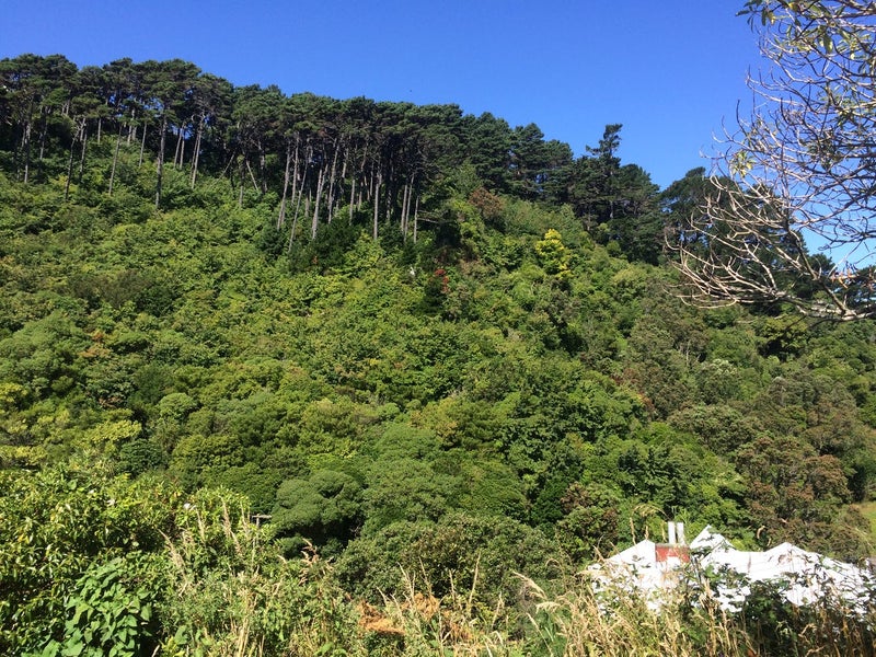 2 Thule Street, Aro Valley, Wellington - Carousel 2