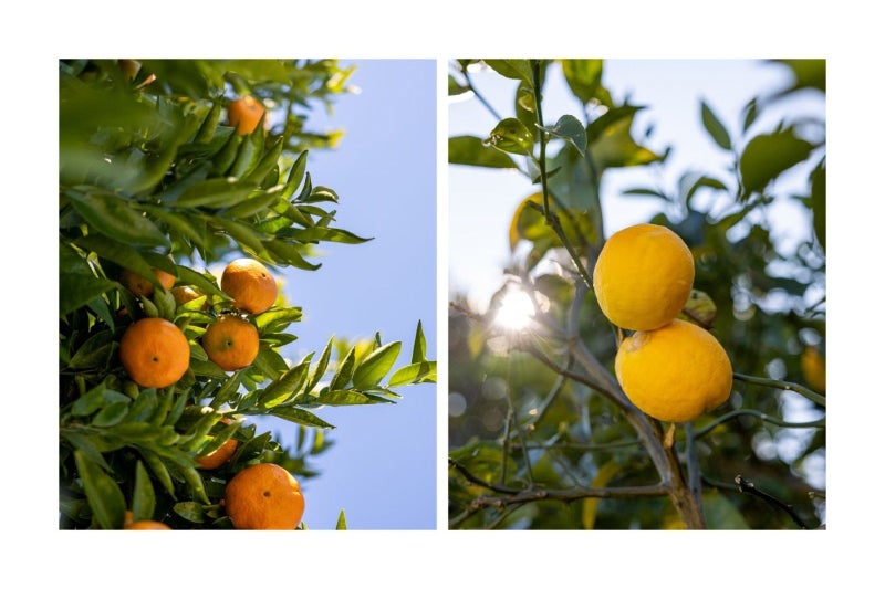 302 Ballintoy Park Drive, Welcome Bay, Tauranga - Carousel 13