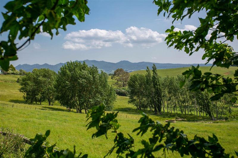 7 Whittaker Road, Te Pahu, Hamilton - Carousel 1