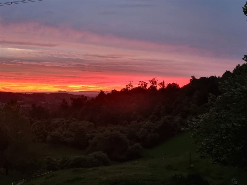 231 Gray Road, Te Miro, Cambridge - Carousel 18