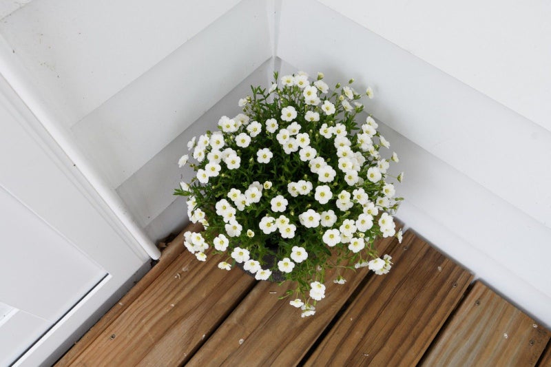 101 Hawkridge Heights, Bethlehem, Tauranga - Carousel 24