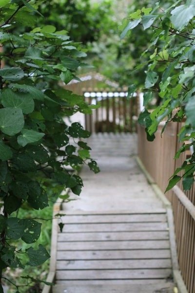 55A Mount Pleasant Road, Aro Valley, Wellington - Carousel 11