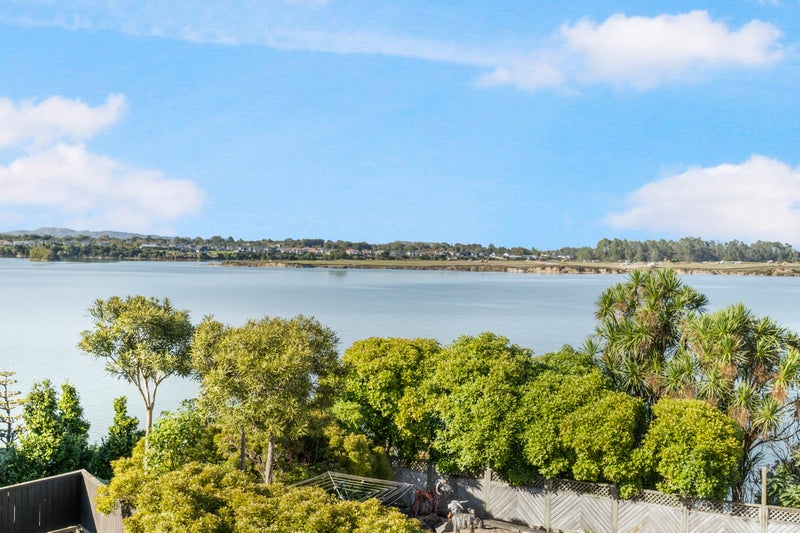 8 Aztec Place, Conifer Grove, Takanini - Carousel 20