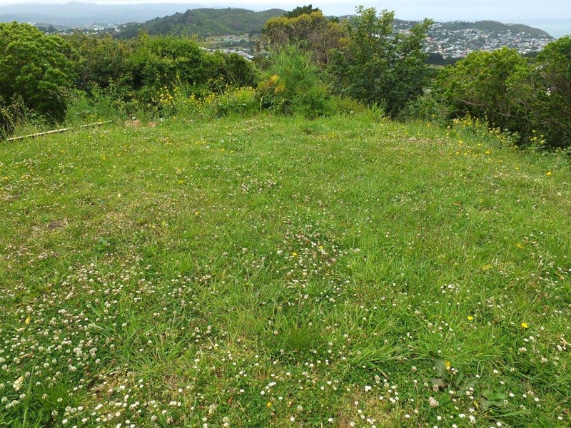 14 Ingestre Street, Vogeltown, Wellington - Carousel 26