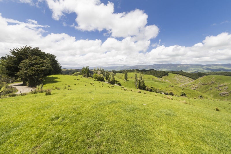 0 Finnis Road, Pohangina, Ashhurst - Carousel 1