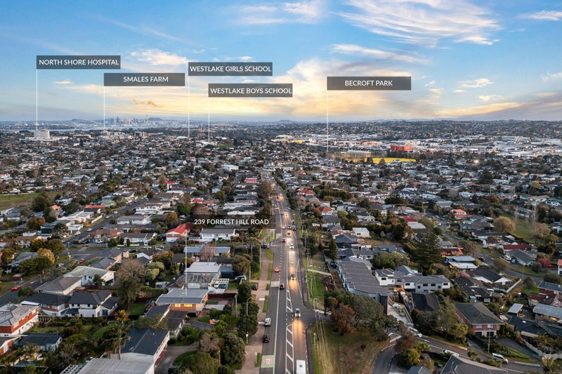 239 Forrest Hill Road, Forrest Hill, Auckland - Carousel 21