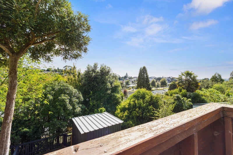 14 Melva Street, Dinsdale, Hamilton - Carousel 20