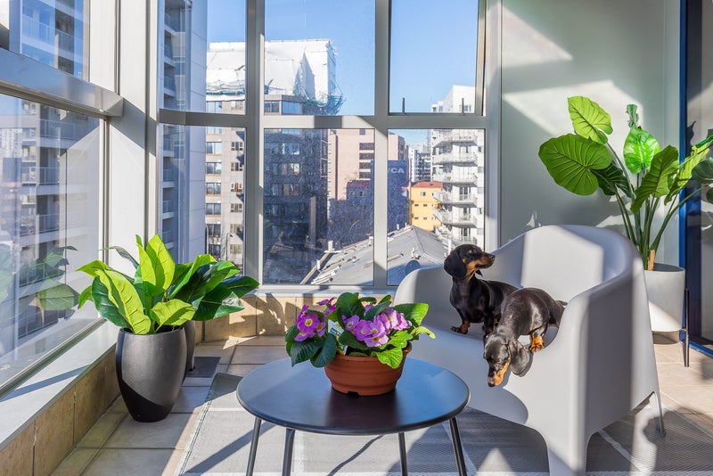 9C/11 Nicholas Street, Auckland Central, Auckland - Carousel 24