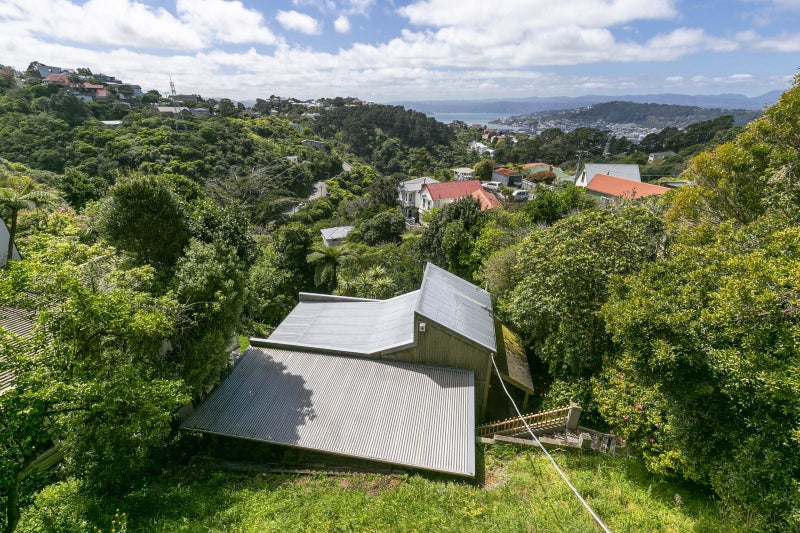 6 Koromiko Road, Aro Valley, Wellington - Carousel 21