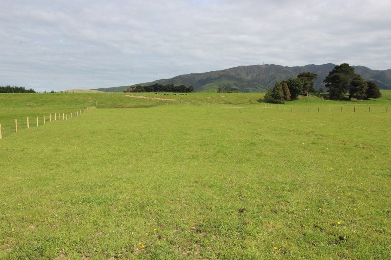619 Pinfold Road, Papatawa, Woodville - Carousel 4