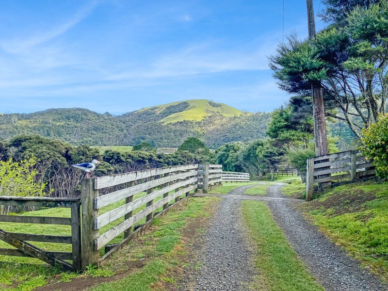 140 Bethells Road, Henderson - Carousel 16