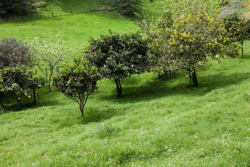 18 Pararewa Drive, Whalers Gate, New Plymouth - Carousel 26