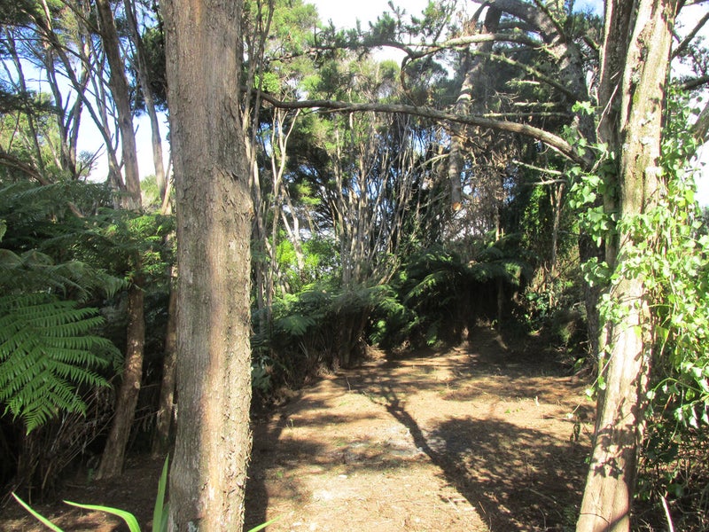 11 Te Oneroa Way, Long Bay, Auckland - Carousel 1