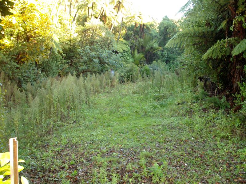 2 Corrondella Grove, Belmont, Lower Hutt - Carousel 2