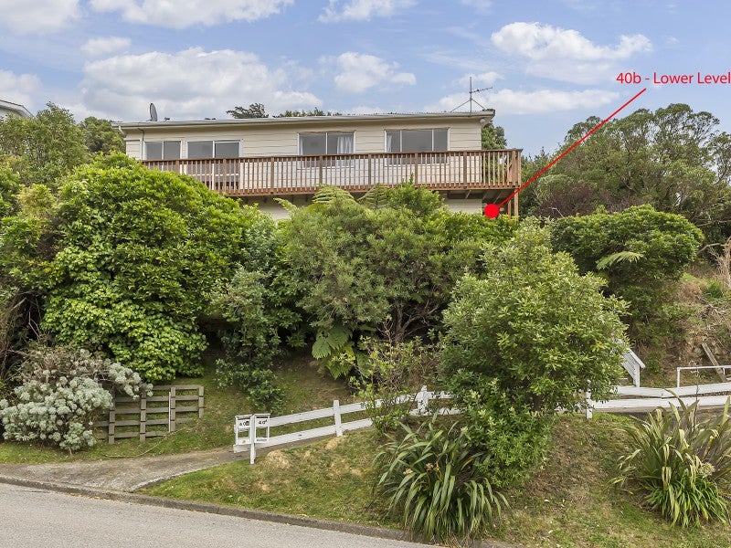 40B Winston Street, Crofton Downs, Wellington - Carousel 1