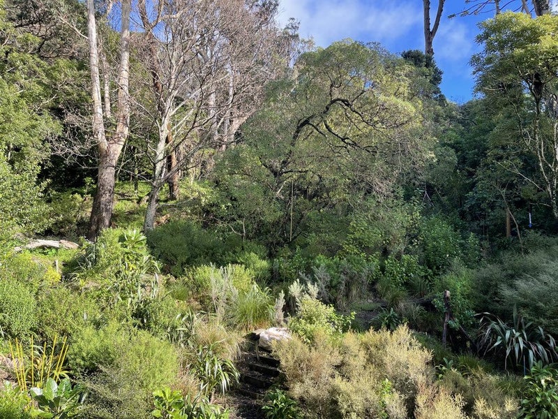 1A Anderson Terrace, Mount Cook, Wellington - Carousel 2