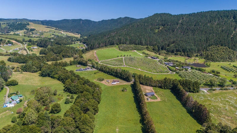 813 Whangaripo Valley Road, Whangaripo, Wellsford - Carousel 17