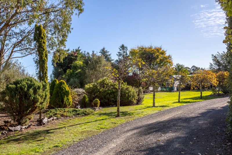 328 Fabians Road, Morison Bush, Greytown - Carousel 50