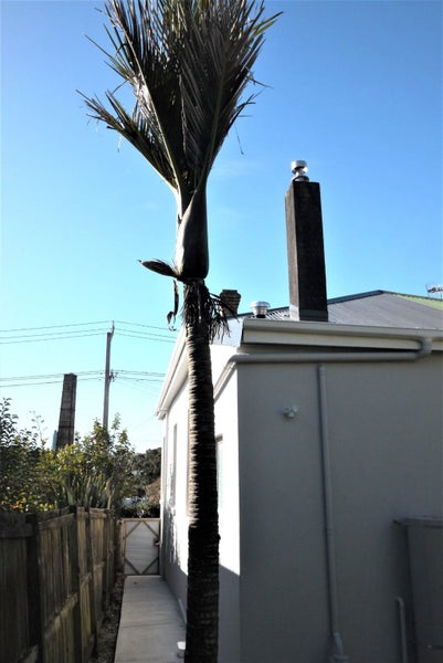 2/12 Regina Street, Westmere, Auckland - Carousel 9