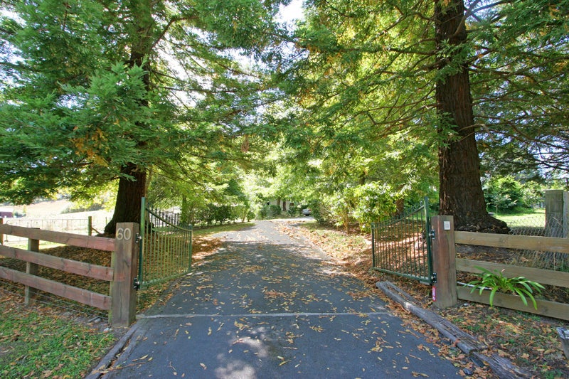 60 Elmore Road, Albany - Carousel 1