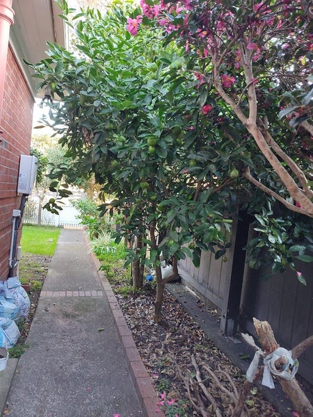 1/31 Nile Street, Waterloo, Lower Hutt - Carousel 19