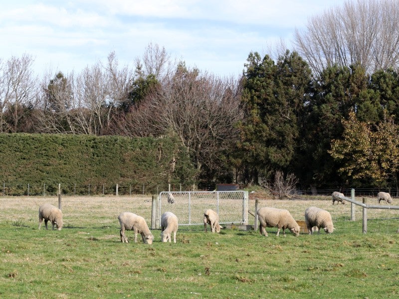 306 Beach Road East, Elgin, Ashburton - Carousel 26