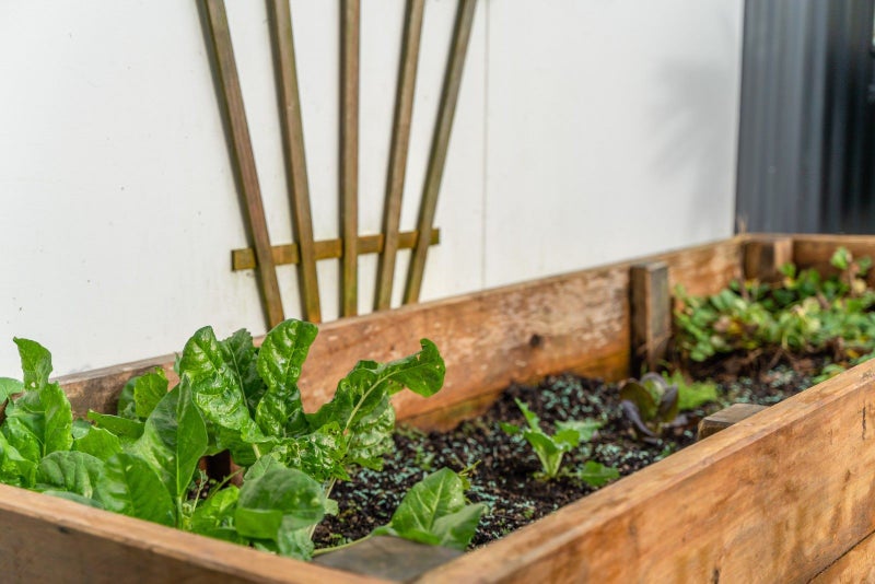 183A Kiripaka Road, Tikipunga, Whangarei - Carousel 19