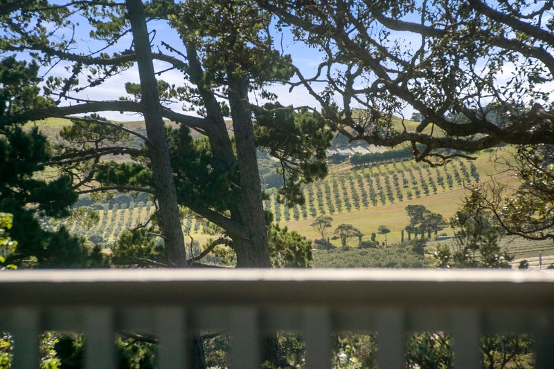 40 Hobson Terrace, Onetangi, Waiheke Island - Carousel 24