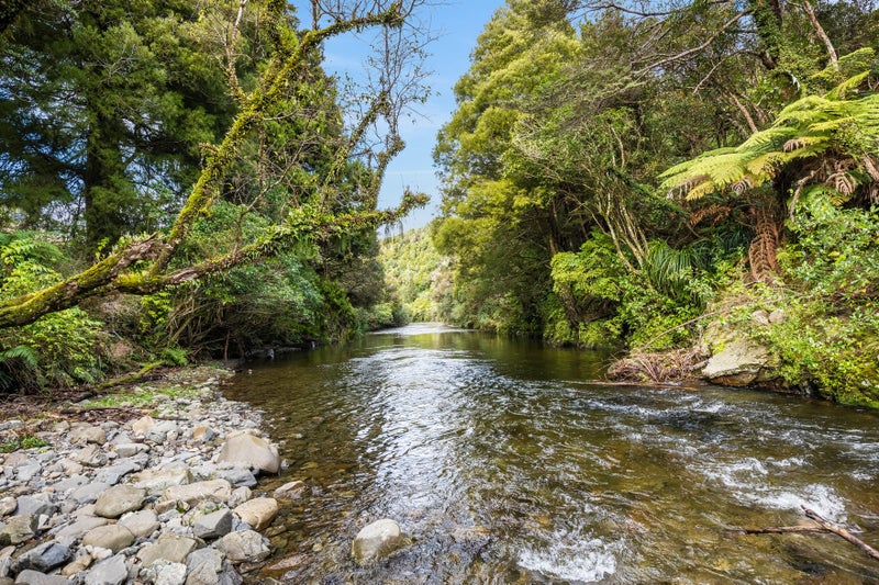 20 Karapoti Road, Craigs Flat, Upper Hutt - Carousel 11