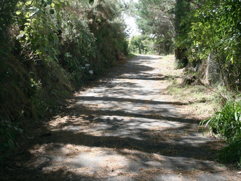 1021 Paekakariki Hill Road, Paekakariki Hill - Carousel 2