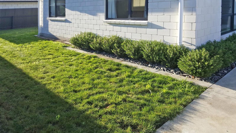 719A Maxville Drive, Parkvale, Hastings - Carousel 2